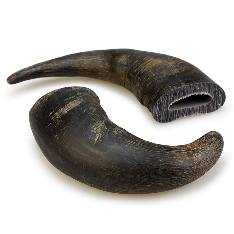 ARQUIVET Duży róg bawoli 20 cm - 1 szt - obrazek 3