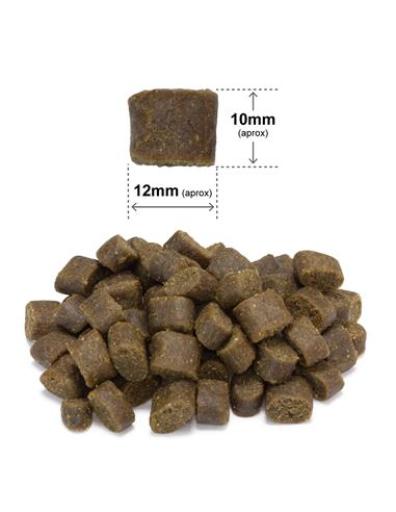 ARQUIVET FRESH Półwilgotna karma dla psa ryba oceaniczna 2,5 kg - obrazek 3