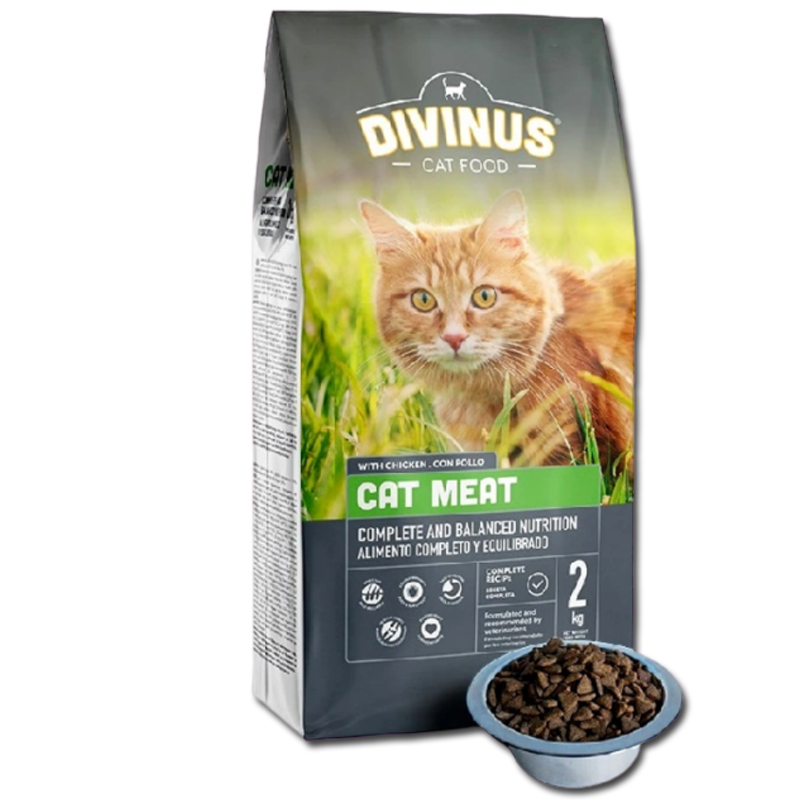 PRÓBKA Divinus Cat Meat 100g - obrazek 3
